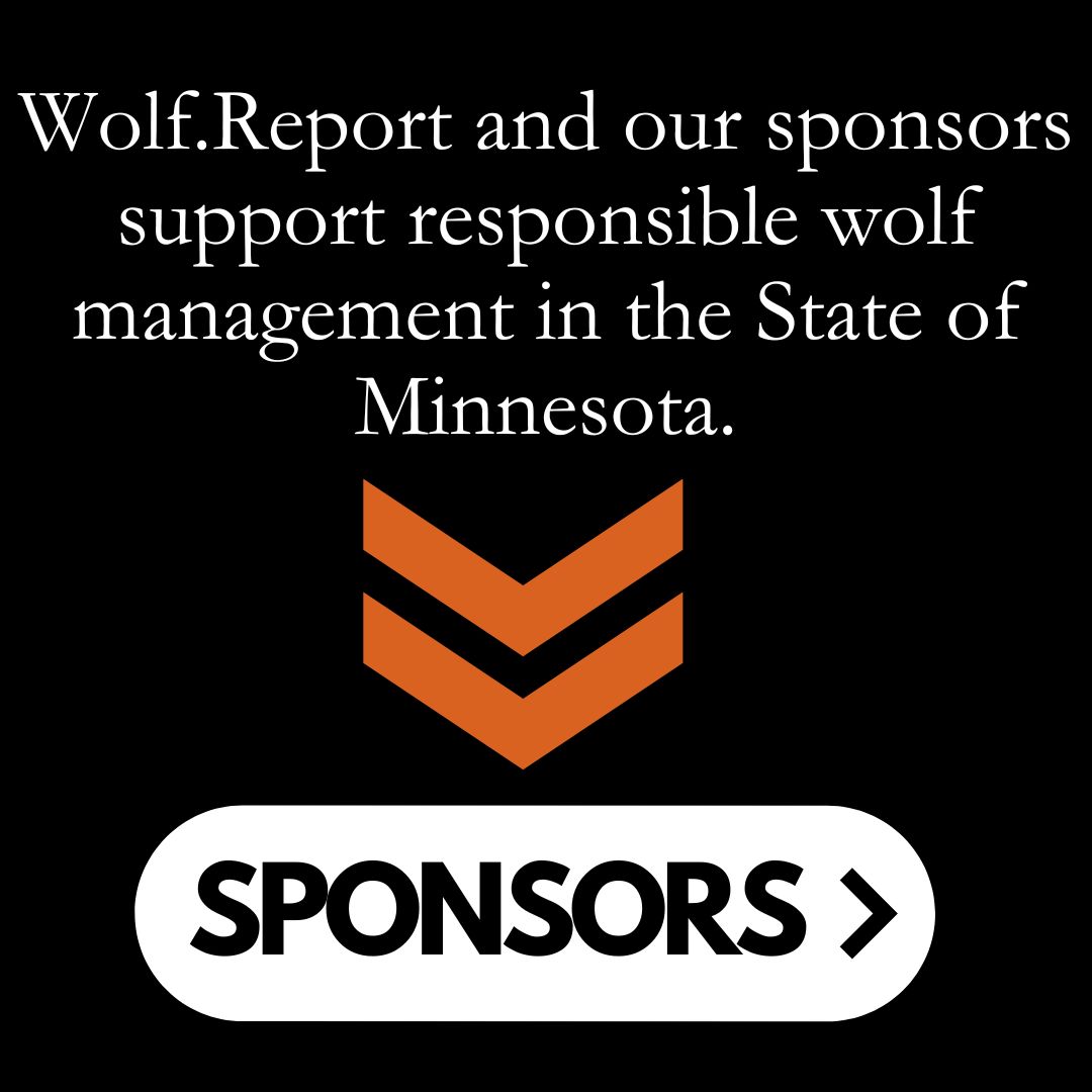 Wolf.Report sponsors