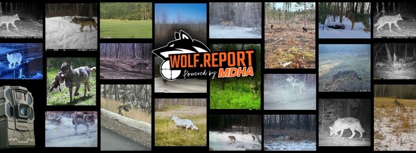 Community Science Project Wolf Report 