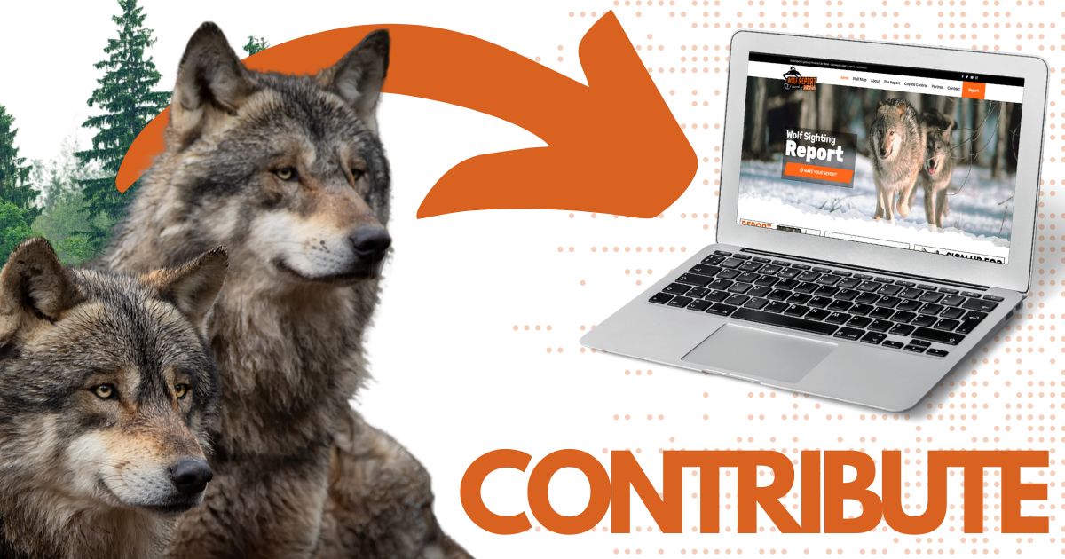 Contribute To Wolf Management