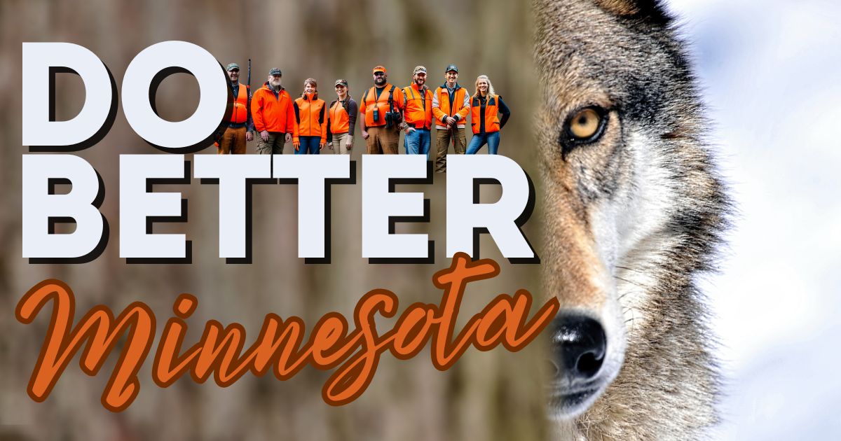 Minnesota Wolf Management