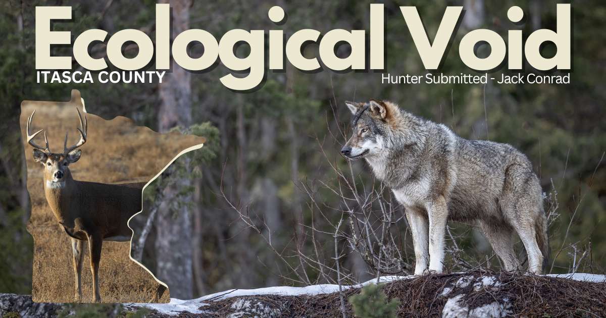 Wolves Create Ecological Void