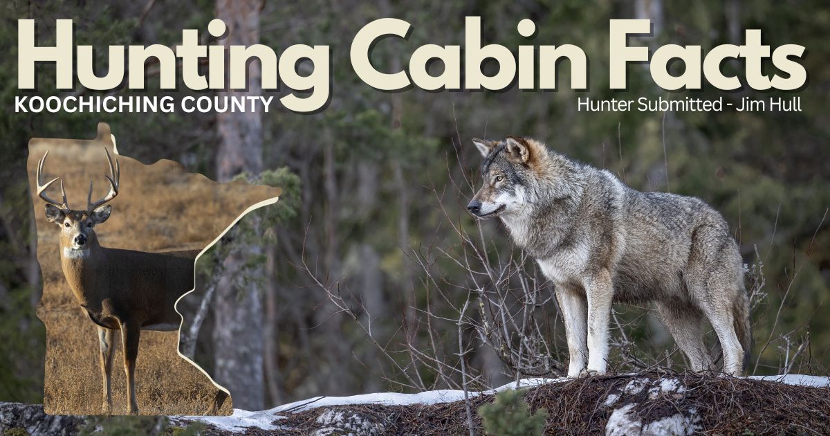 Hunting Cabin Facts - Hunter Submitted