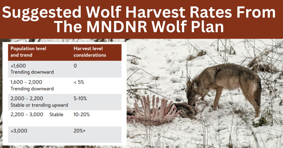 MNDNR Wolf Management Plan