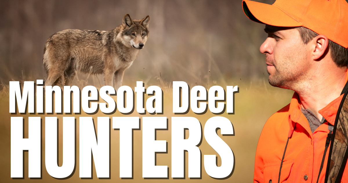 Minnesota Deer Hunt