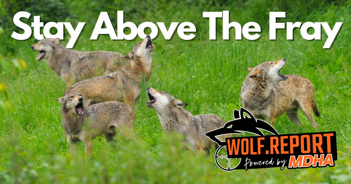 Minnesota Deer Hunters Association