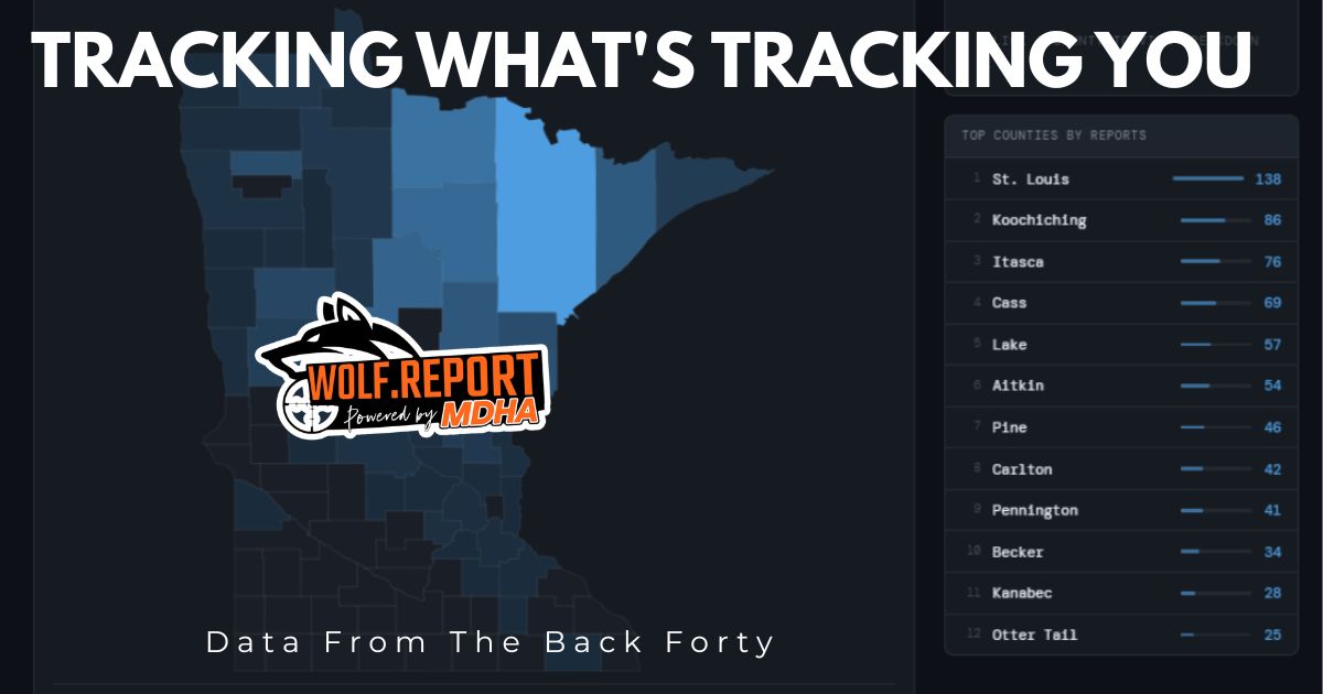 Wolves Are Everywhere: What 1,000 Community Reports Tell Us About Minnesota's Wolf Population