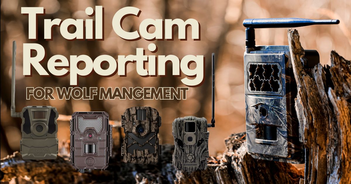 Trail Cams for Wolf Management