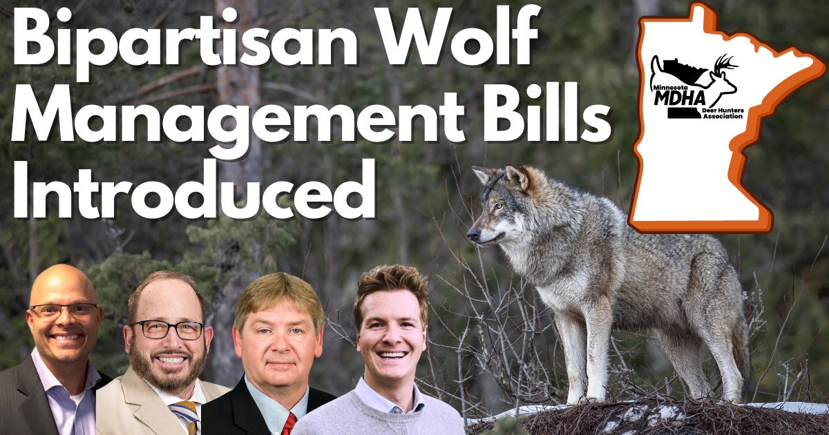 Wolf Management Bills In Minnesota