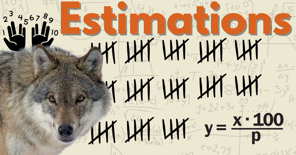 Minnesota Wolf Count