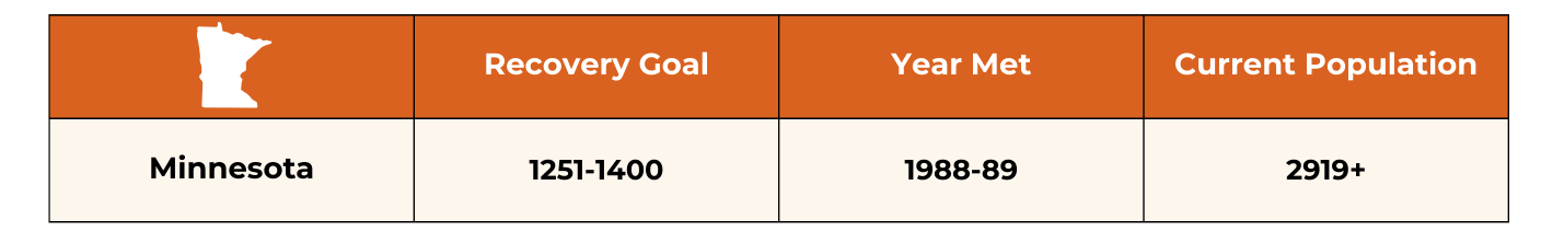 Minnesota Wolf Recovery