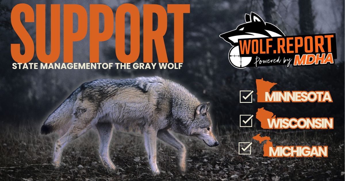 Wolf Management 